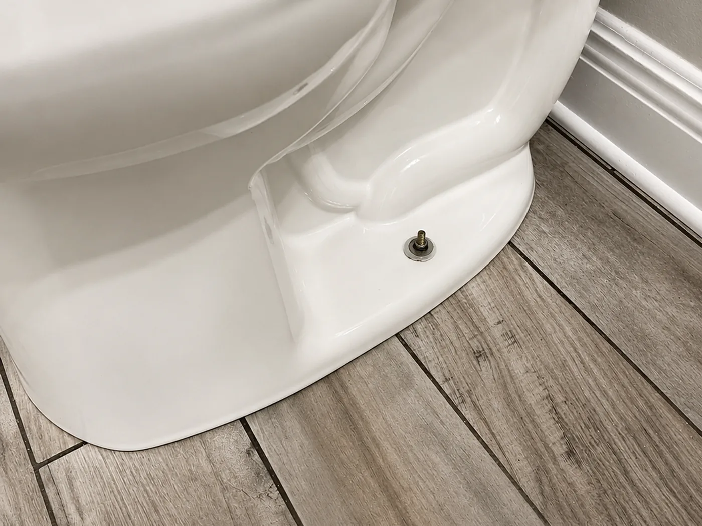 Toilet — after cleaning